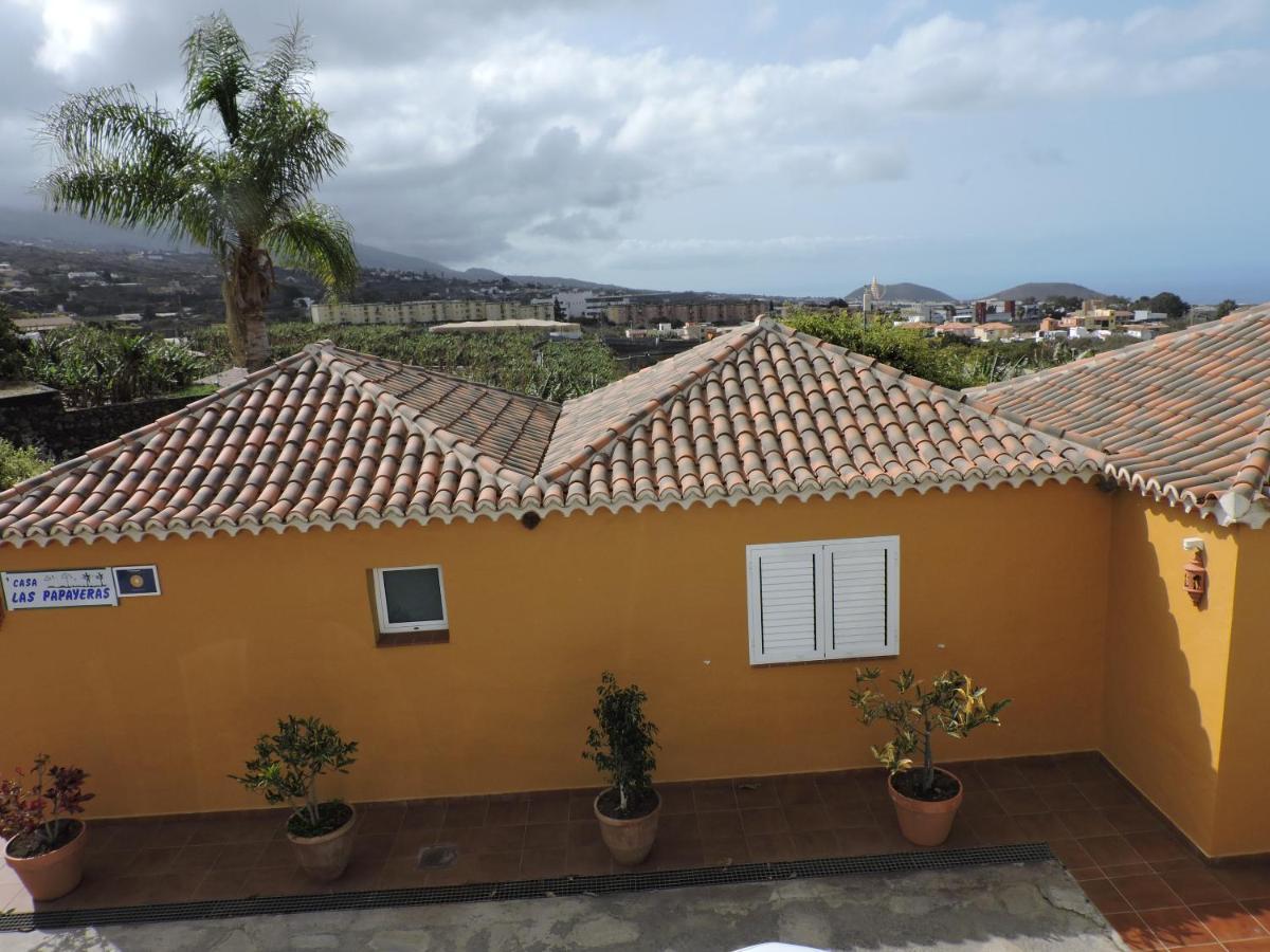 Casas Las Papayeras, En Los Barros لوس يانوس دي أريداني المظهر الخارجي الصورة